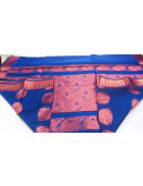 PL BIG BUTTA SAREE