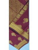 PL BIG BUTTA SAREE