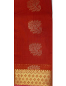 PL BIG BUTTA SAREE