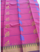 PL BIG BUTTA SAREE