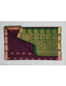 PL BIG BUTTA SAREE