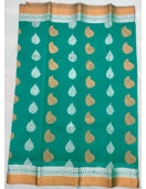 PL BIG BUTTA SAREE