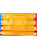 PL BIG BUTTA SAREE