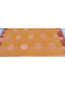 PL BIG BUTTA SAREE