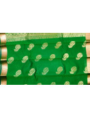 PL BIG BUTTA SAREE