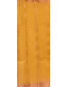 PL BIG BUTTA SAREE