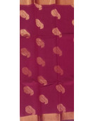 PL BIG BUTTA SAREE