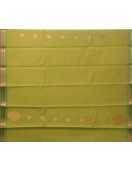 PL BIG BUTTA SAREE