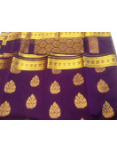 PL BIG BUTTA SAREE