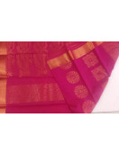 PL BIG BUTTA SAREE