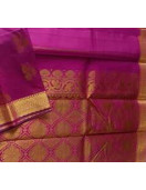 PL BIG BUTTA SAREE