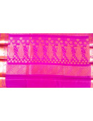 PL BIG BUTTA SAREE