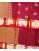 PL BIG BUTTA SAREE
