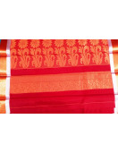 PL BIG BUTTA SAREE