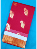 PL BIG BUTTA SAREE