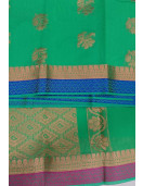 PL BIG BUTTA SAREE