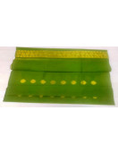 PL BIG BUTTA SAREE