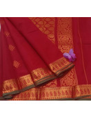 PL BIG BUTTA SAREE
