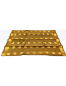 PL BIG BUTTA SAREE