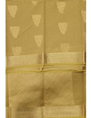 PL BIG BUTTA SAREE