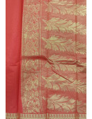 PL BIG BUTTA SAREE