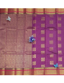 PL BIG BUTTA SAREE