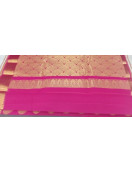 PL BIG BUTTA SAREE