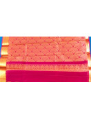 PL BIG BUTTA SAREE