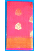 PL BIG BUTTA SAREE