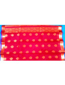 PL BIG BUTTA SAREE