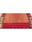 PL BIG BUTTA SAREE