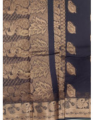 PL BIG BUTTA SAREE