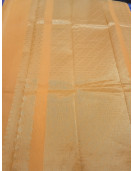 PL BIG BUTTA SAREE