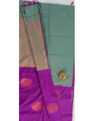 PL Softee Saree