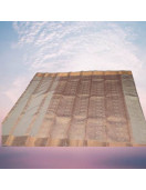 PL EMBOSS SAREE