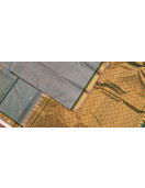 SALEM SILK SAREE WITH BLOUSE