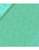 SALEM SILK SAREE WITH BLOUSE