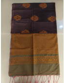 PL Softee Saree