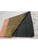 PL Softee Saree