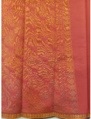 PL Salem Silk Finish Border Saree