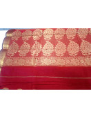 PL BIG BUTTA SAREE