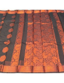 PL BIG BUTTA SAREE