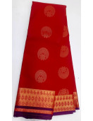 PL BIG BUTTA SAREE