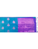 PL Softee Saree