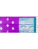 PL Softee Saree