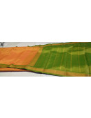 Arni Silk Saree with Thread work 620 Cms SABT