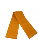 ARNI SILK SAREE WITH BLOUSE