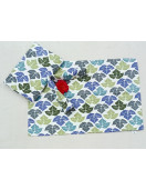 BEDSHEET ERODE AHEMADHABAD PRINT 72X90 2 PILLOW COVER