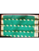 PL BIG BUTTA SAREE