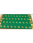 PL BIG BUTTA SAREE